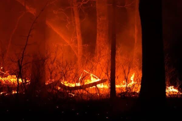 Photo: Wildfire New Jersey